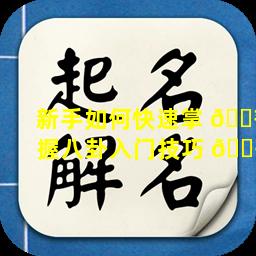 新手如何快速掌 🌾 握八卦入门技巧 🌾